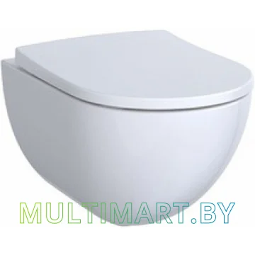 Унитаз Geberit Acanto 500600012